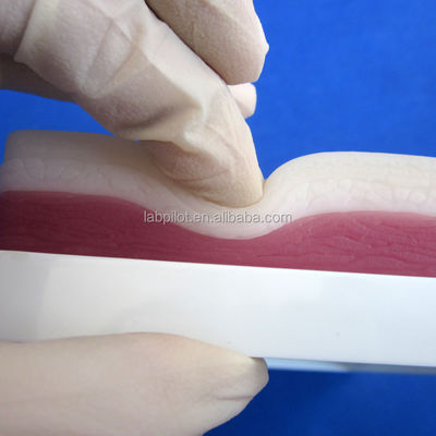 Medisch onderwijs simulators Elastische 3-laag chirurgische Suring Pad voor spieren en huid