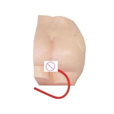 Gevorderde PVC-intramusculaire injectie onderwijs simulator voor medische wetenschappen vak