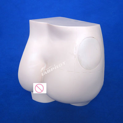 Professionele mannequin heup intramusculaire injectie praktijkmodel voor medische opleiding