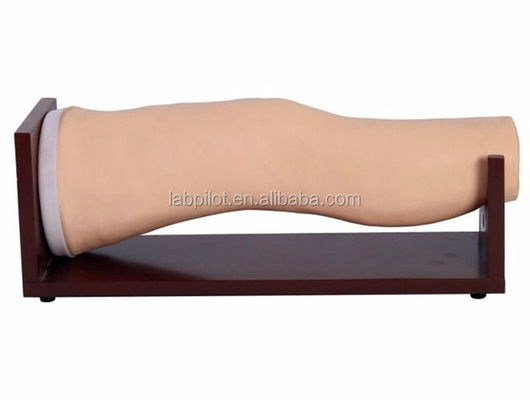 Vivid Electronic Knee Joint Intra-articular Injection Training Model voor klinische verpleegkundige vaardigheden