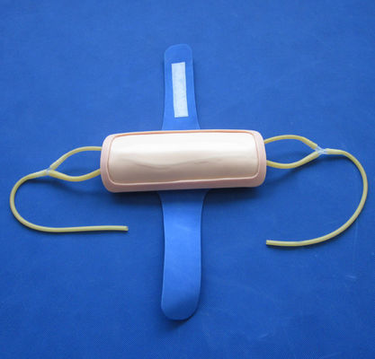 Geavanceerde PVC-voorarm-venenetuctie-trainingsoplossing IV-injectieoplossing voor medische wetenschappen
