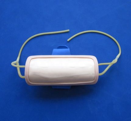 Geavanceerde PVC-voorarm-venenetuctie-trainingsoplossing IV-injectieoplossing voor medische wetenschappen