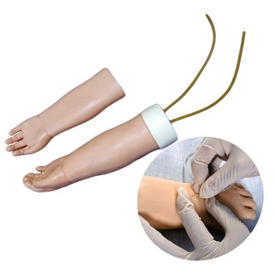 Medische Wetenschappen Onderwerp Draagbare venennecture Training Arm Model met vervangbare huid