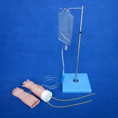Medische Wetenschappen Onderwerp Draagbare venennecture Training Arm Model met vervangbare huid