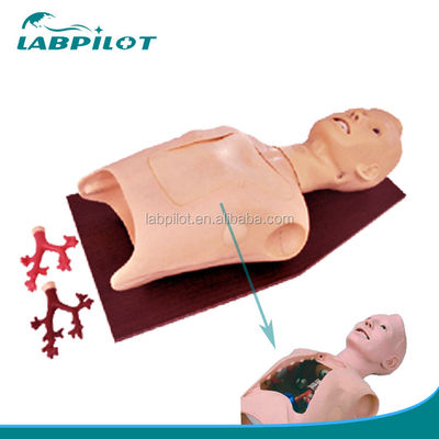 Patiëntenzorgopleiding Medische bronchoscopie en intubatie simulator met alarmen