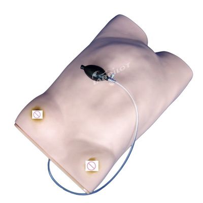 Geavanceerde PVC Moederschapsverzorging Mannequin Essentieel voor Moederschapspalpatietraining