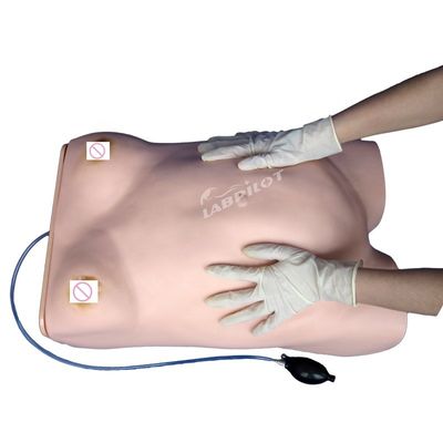 Geavanceerde PVC Moederschapsverzorging Mannequin Essentieel voor Moederschapspalpatietraining