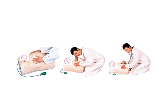 Geavanceerde PVC Moederschapsverzorging Mannequin Essentieel voor Moederschapspalpatietraining