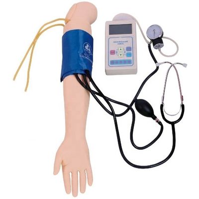 Arteriële bloeddrukmeting Opleiding Arm Model Categorieën Educatief mannequin