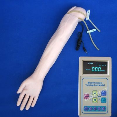 Arteriële bloeddrukmeting Opleiding Arm Model Categorieën Educatief mannequin