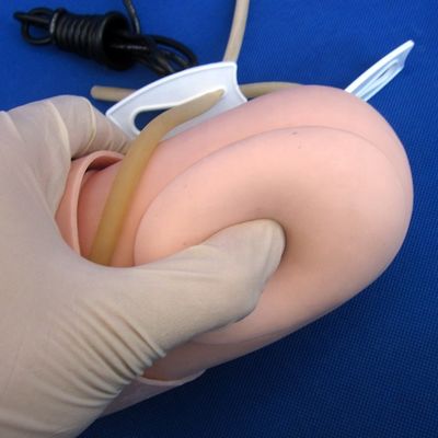 Arteriële bloeddrukmeting Opleiding Arm Model Categorieën Educatief mannequin