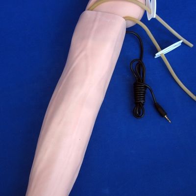 Arteriële bloeddrukmeting Opleiding Arm Model Categorieën Educatief mannequin