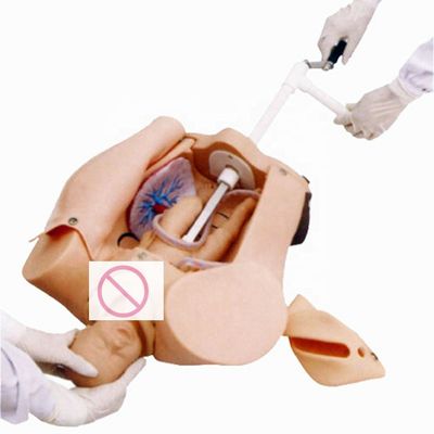 EHBO-mannequin voor patiëntenzorg Demonstratie Geavanceerde geboorte-onderwijs simulator