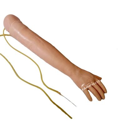 Medische wetenschappen Venipunctuur en IM Injectie Training Arm Model met gespaarde huid