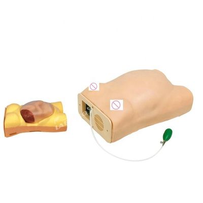 Mensengrootte Zwangerschap Mannequin Auscultatie Onderwijssimulator voor medische wetenschappen