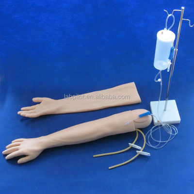 Vivid Arm Model voor IV-injectieopleiding Multifunktioneel Clinical Nursing Training Model