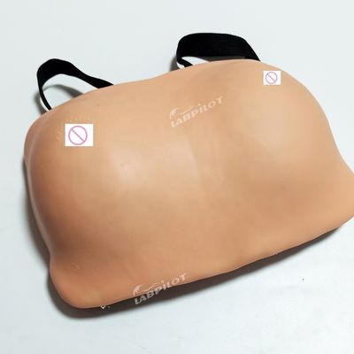 Bors zelfonderzoek Training Mannequin Realistisch huidmodel voor gynaecologische zorg