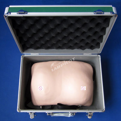 Bors zelfonderzoek Training Mannequin Realistisch huidmodel voor gynaecologische zorg