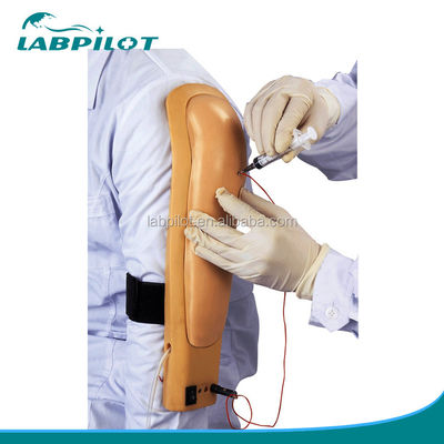 Clinical Nursing Skills Training Medisch onderwijs Simulators Arm Injection Training Model