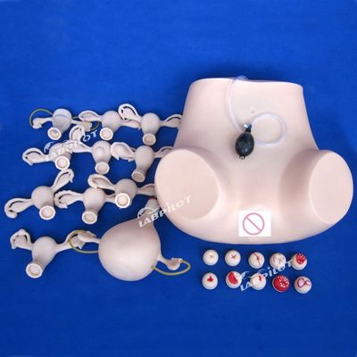 PVC palpatie gynaecologisch onderzoek trainingsmannequin met anticonceptiefunctie