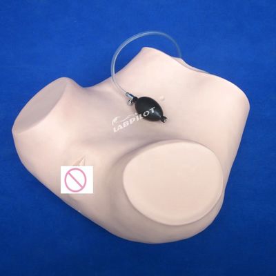 PVC palpatie gynaecologisch onderzoek trainingsmannequin met anticonceptiefunctie