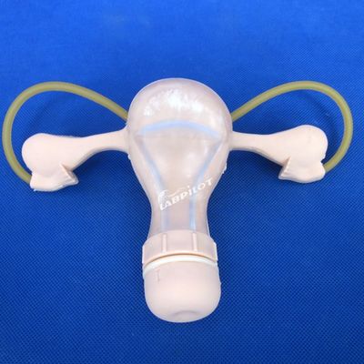 PVC palpatie gynaecologisch onderzoek trainingsmannequin met anticonceptiefunctie