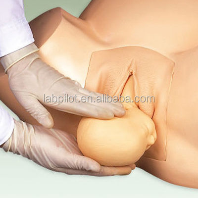 Vacuum Extraction Birth Simulator voor verloskunde Training Patiënten Care Demonstratie