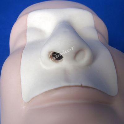 Neushemostase Cauterization en Packing Training Mannequin voor Functie Medisch Model
