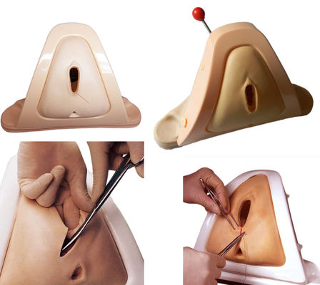 Medische wetenschappen Opleiding Perineorrafie Stichting Model en Perineum Cutting Simulator