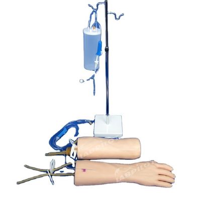 IV Infuusopleidingsmodel zachte huid Hand en elleboog Intravenous Transfusion Training Arm