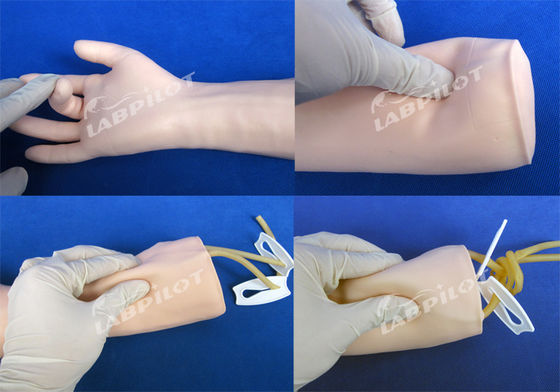 IV Infuusopleidingsmodel zachte huid Hand en elleboog Intravenous Transfusion Training Arm