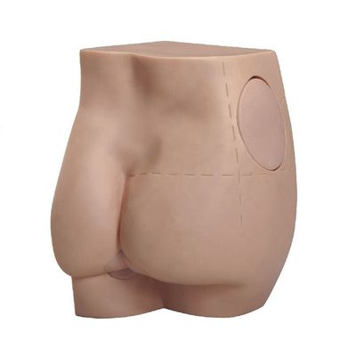 Functionele billen Intramusculaire injectie model met realistische arm