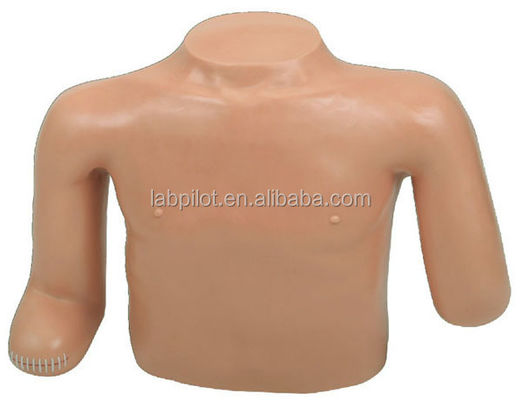Medische wetenschappen Patiëntenverzorging Opleiding Bovenlieden Torso Amputatie Dummy Dressing and Bandaging Opleidingsmodel