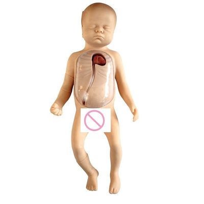Mensengrootte Baby-verzorgingspop met neonatale zorg PICC-model