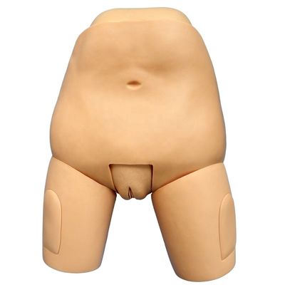 Postpartum manikin verpleegkundige simulator voor medische wetenschappen fonds van baarmoederonderzoek