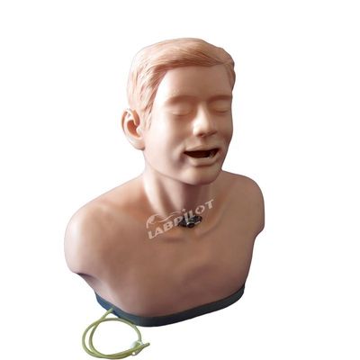 2023 Adult Tracheotomy Care and Suction Nursing Manikin Top Training Tool van ziekenhuizen