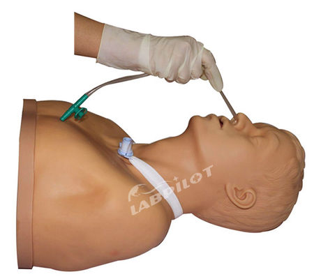 2023 Adult Tracheotomy Care and Suction Nursing Manikin Top Training Tool van ziekenhuizen