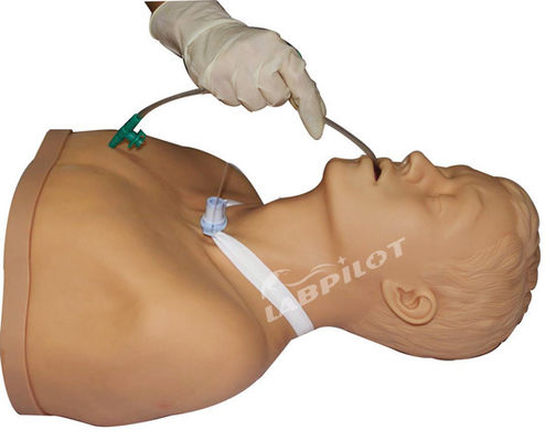 2023 Adult Tracheotomy Care and Suction Nursing Manikin Top Training Tool van ziekenhuizen