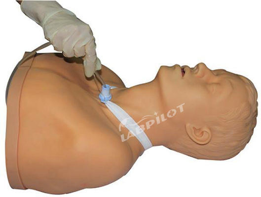 2023 Adult Tracheotomy Care and Suction Nursing Manikin Top Training Tool van ziekenhuizen