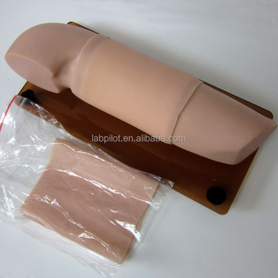 Mannequin voor verloskundige en gynaecologische vaardigheden Model anticonceptie Onderwijs Arm Model
