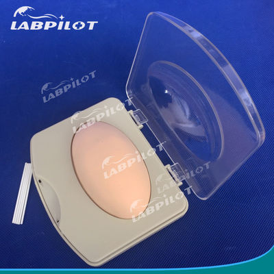 Geavanceerde PVC-subcutane implantatie demonstratiepad voor gezinsplanningsopleiding