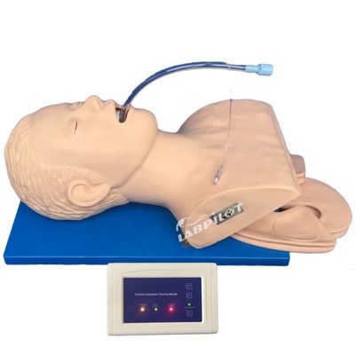 Emergency Skills Teaching Item Intubatie Training Simulator met elektronische monitor
