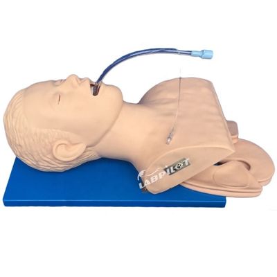 Emergency Skills Teaching Item Intubatie Training Simulator met elektronische monitor