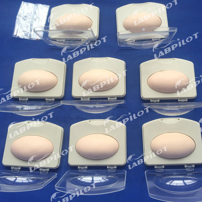 Geavanceerde PVC-subcutane implantatie demonstratiepad voor gezinsplanningsopleiding