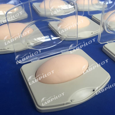 Geavanceerde PVC-subcutane implantatie demonstratiepad voor gezinsplanningsopleiding