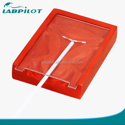 Mannequin voor medische wetenschappen Intrauterine contraceptieve training simulator