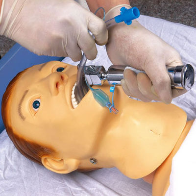 Medisch onderwijs Simulators Verpleegkunde Training Mannequin voor NG buisvoeding en intubatie