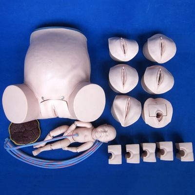 Patiëntenzorg demonstratie Alomvattende geboorte vaardigheden training Model Verloskundige technische opleiding Mannequin