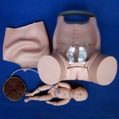 Patiëntenzorg demonstratie Alomvattende geboorte vaardigheden training Model Verloskundige technische opleiding Mannequin