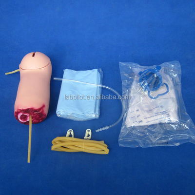 Geavanceerd PVC-trauma van bovenste ledematen bloeding en geamputeerde armmodel voor de medische wetenschap
